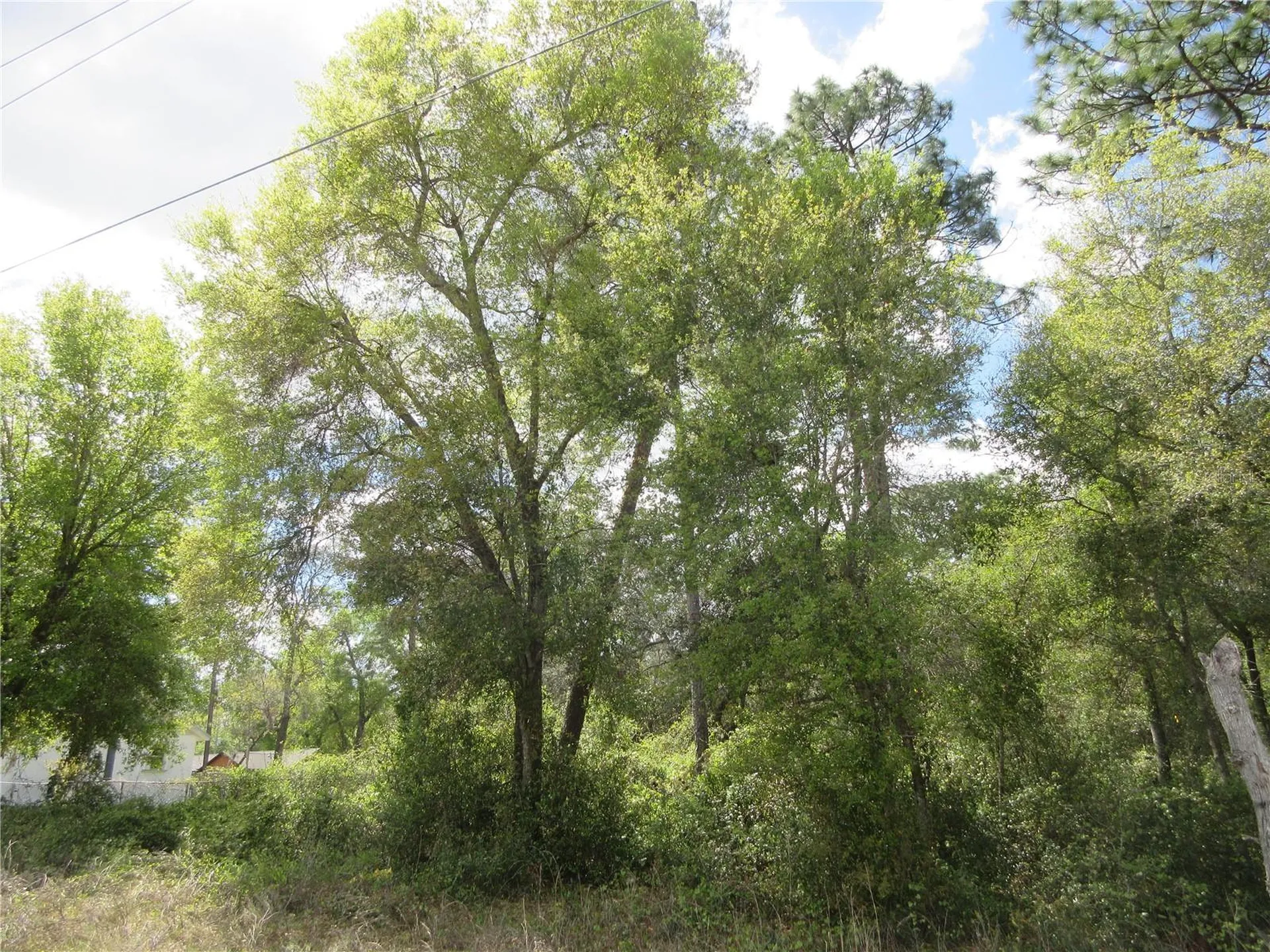 0 SE 180 Avenue Road Ocklawaha FL 32179