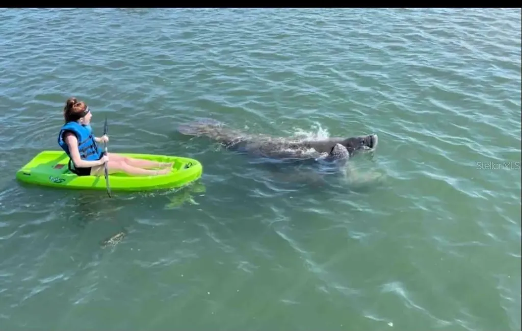 19829 Gulf Boulevard Indian Shores FL 33785