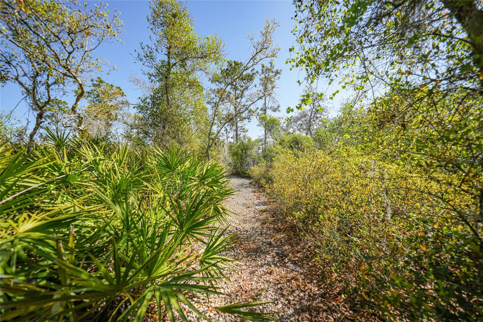 16180 Forest Glen Court Punta Gorda FL 33982