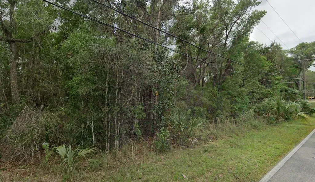 Reynolds Road De Leon Springs FL 32130