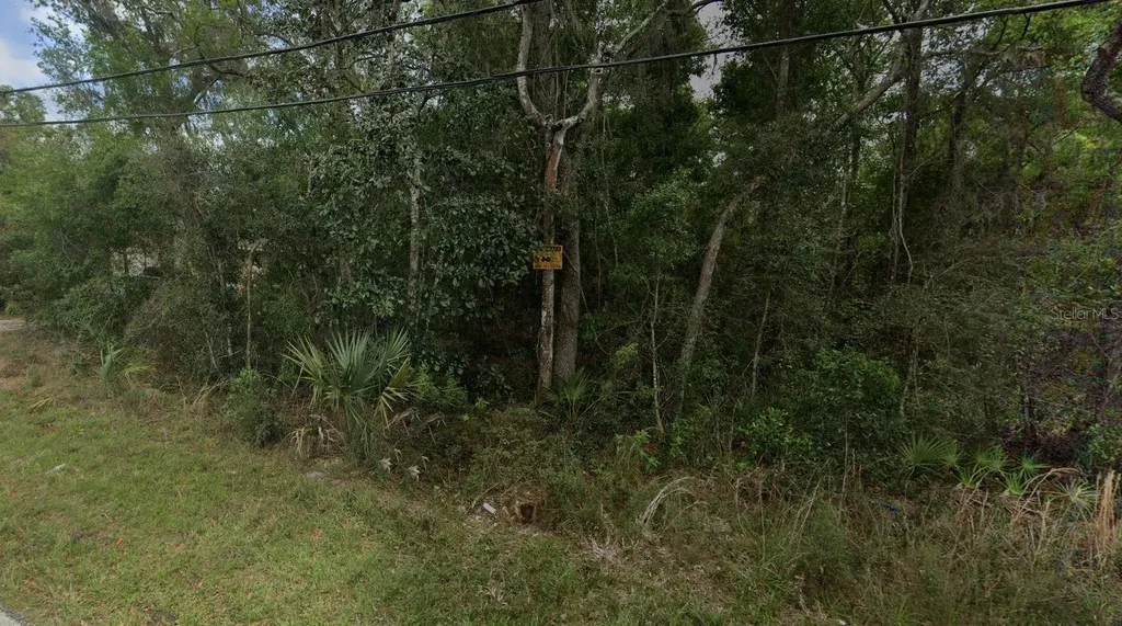 Reynolds Road De Leon Springs FL 32130