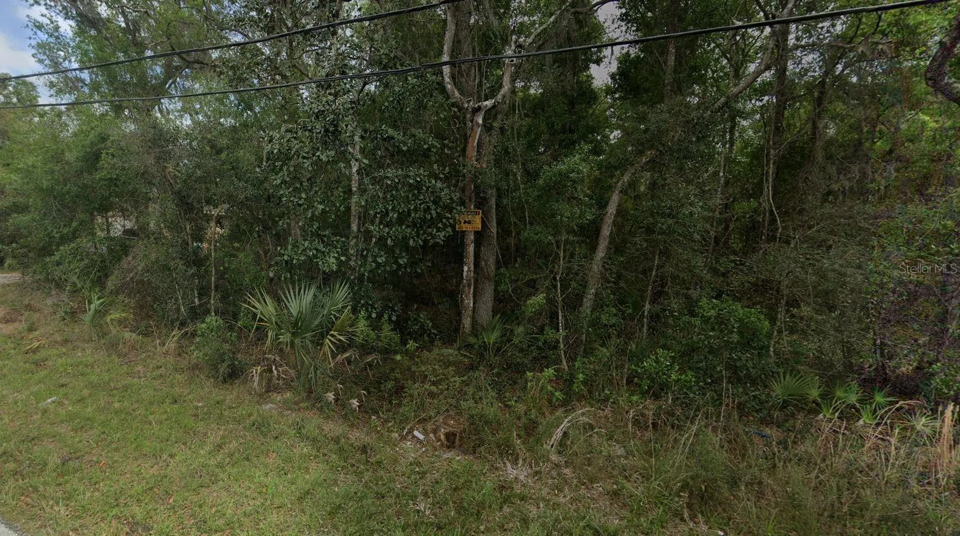 Reynolds Road De Leon Springs FL 32130
