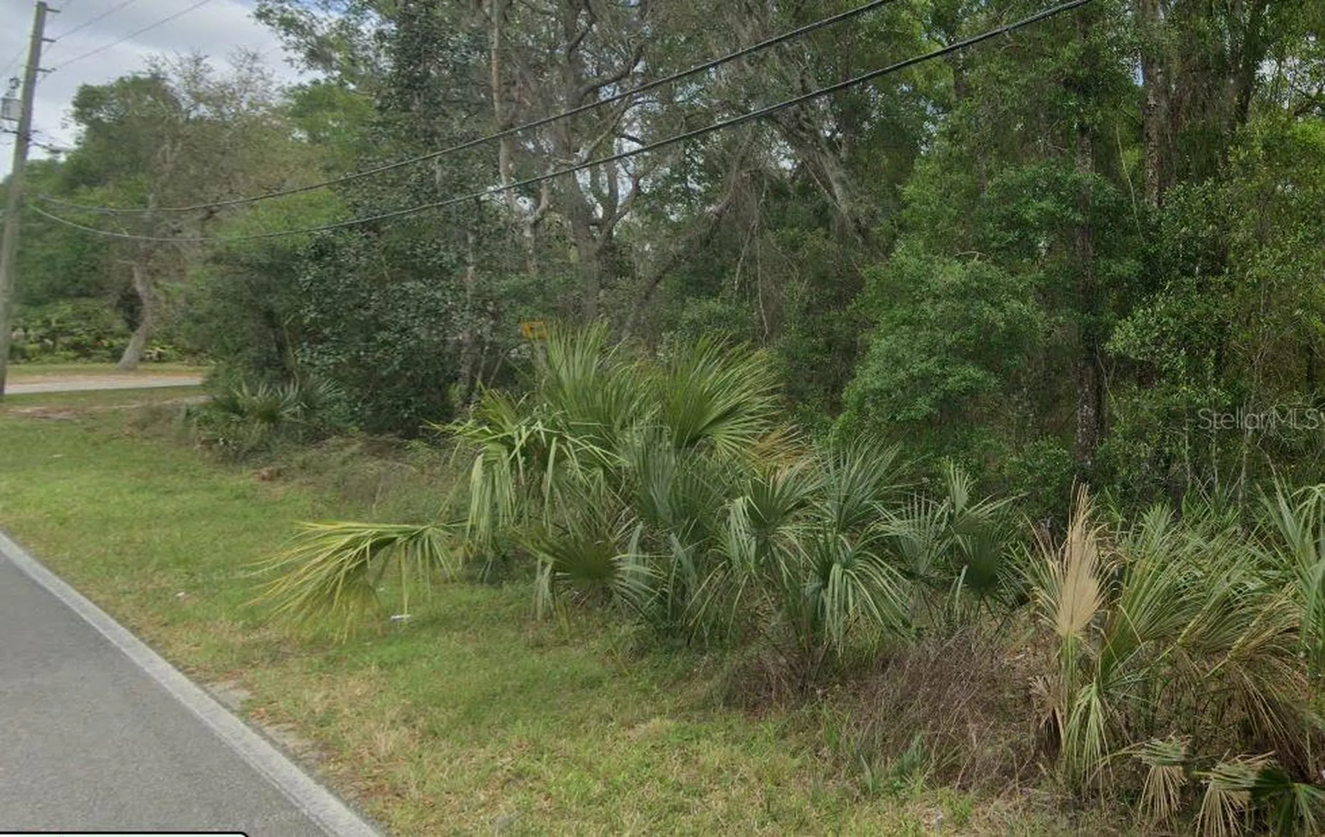 Reynolds Road De Leon Springs FL 32130