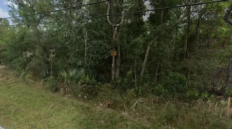 Reynolds Road De Leon Springs FL 32130