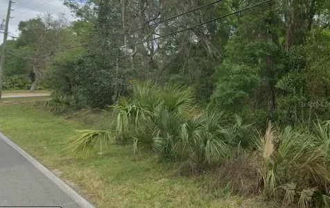 Reynolds Road De Leon Springs FL 32130