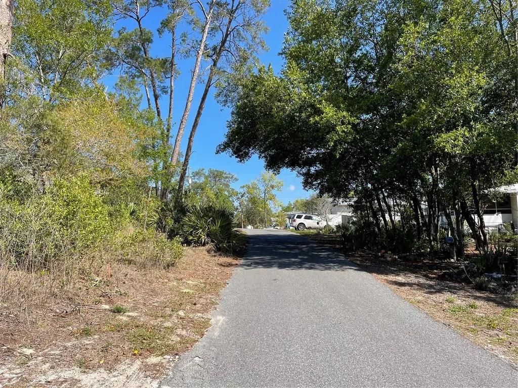 16883 Dry Tortugas Run Hudson FL 34667