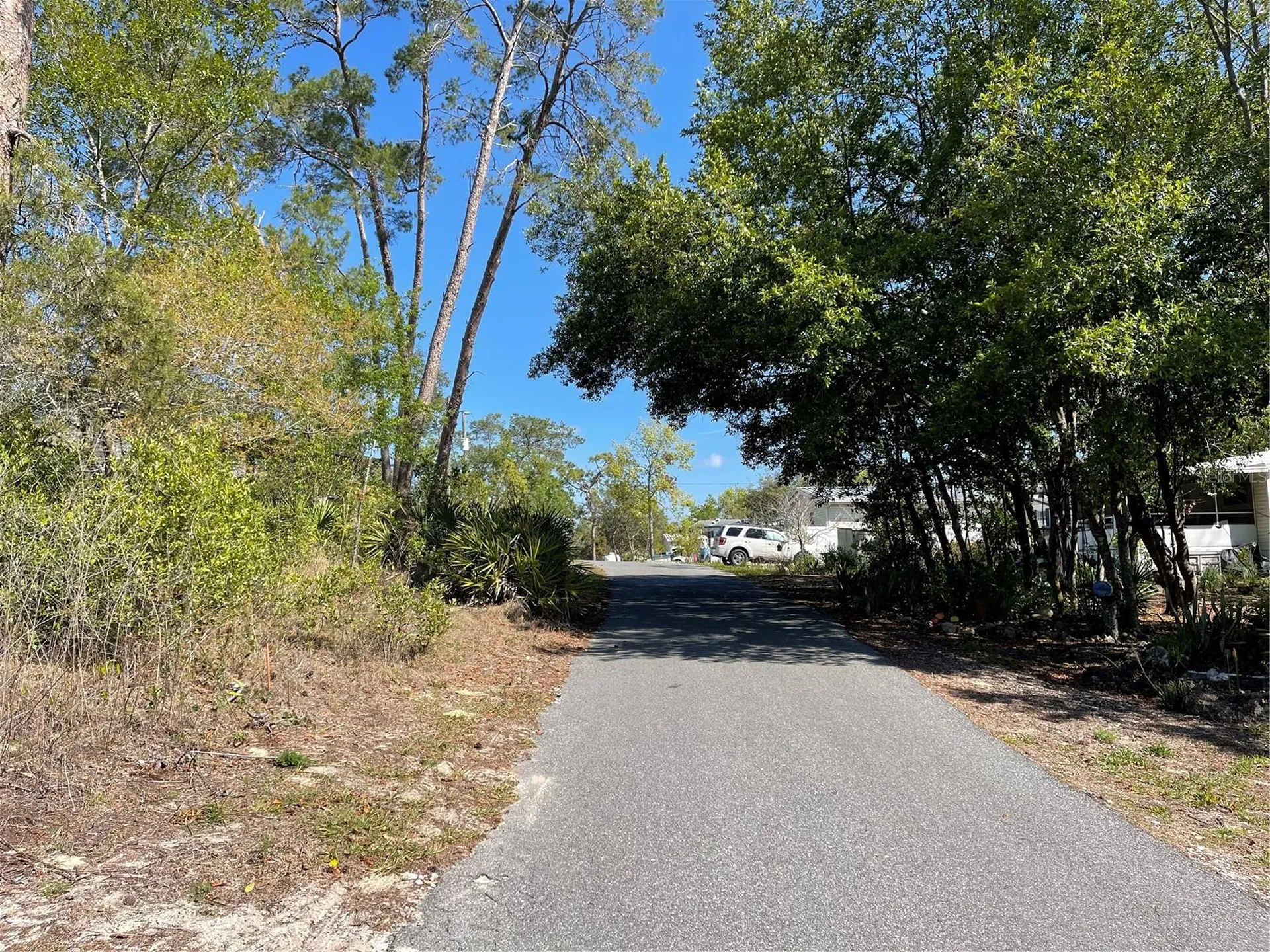 16883 Dry Tortugas Run Hudson FL 34667
