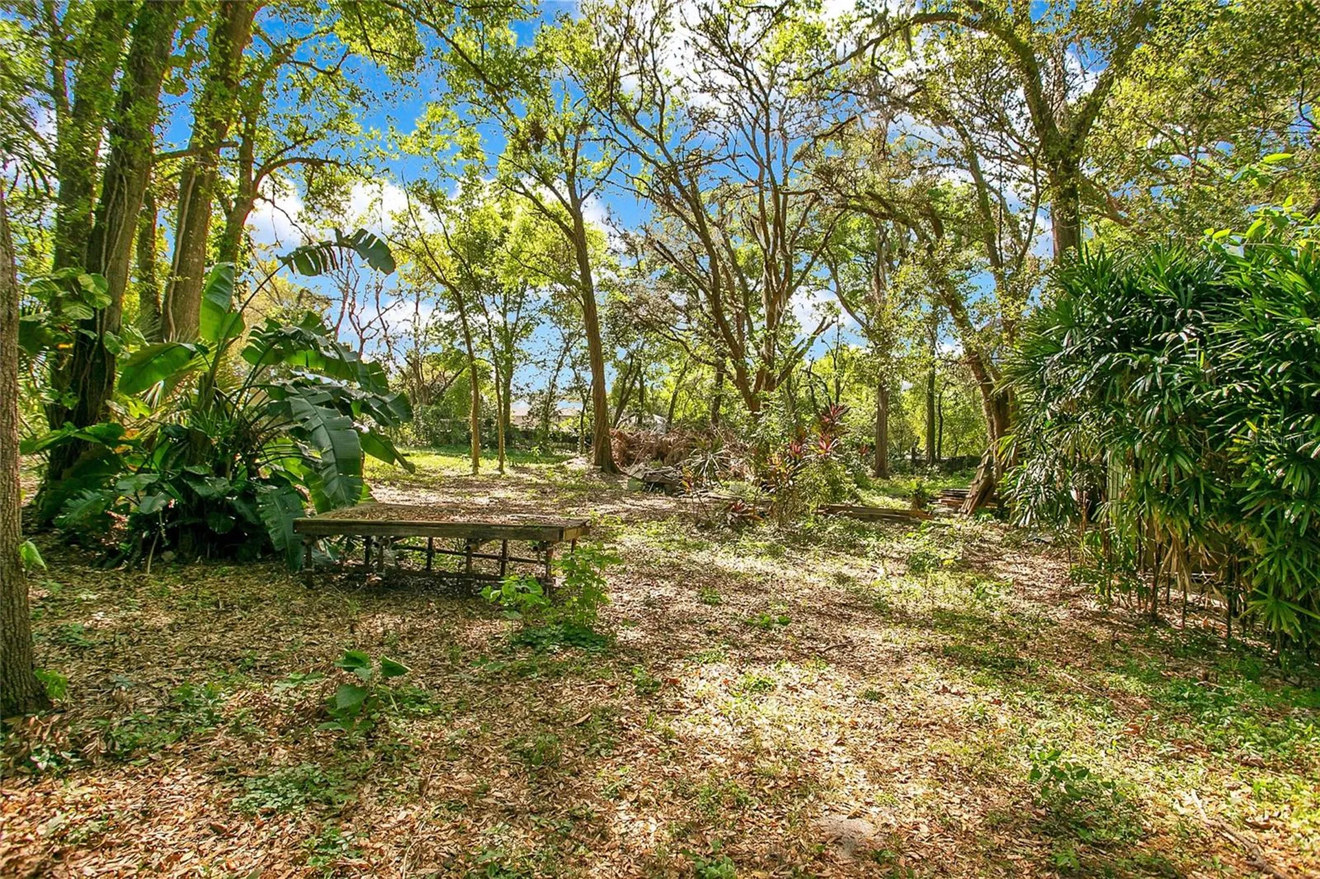 1120 Sheeler Avenue Apopka FL 32703