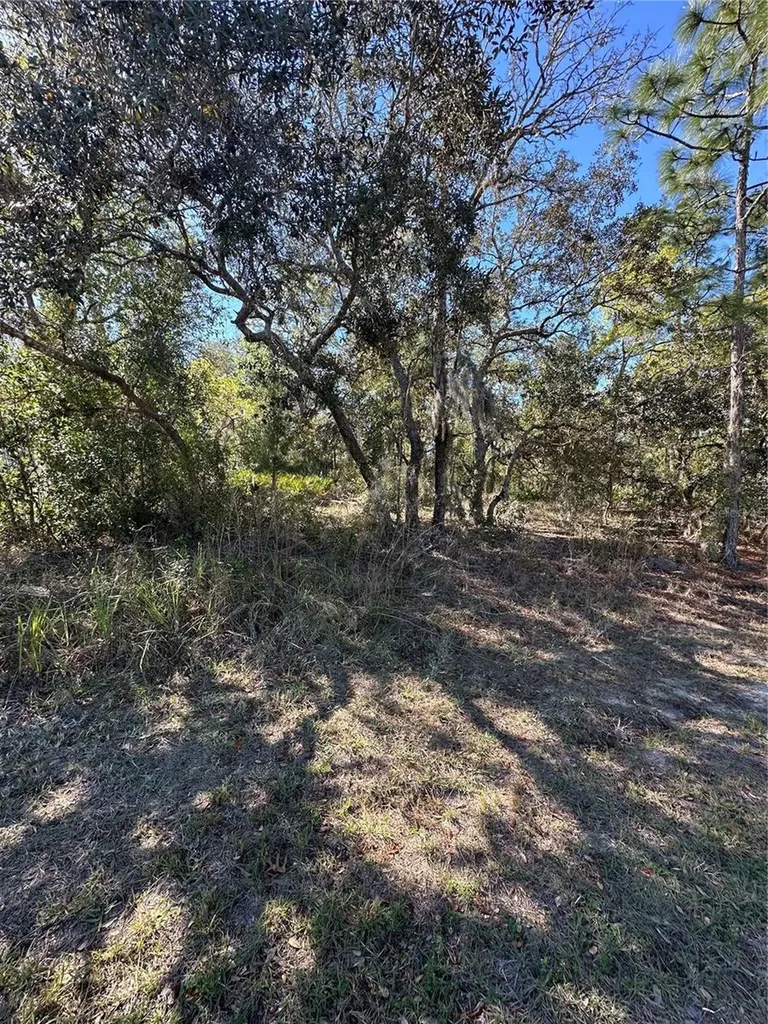 7 Sweetbay Court Homosassa FL 34446