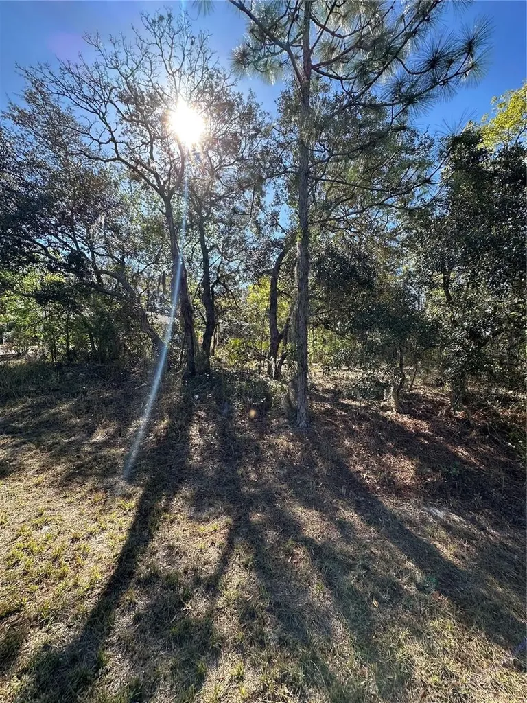 7 Sweetbay Court Homosassa FL 34446
