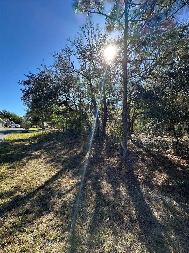 7 Sweetbay Court Homosassa FL 34446