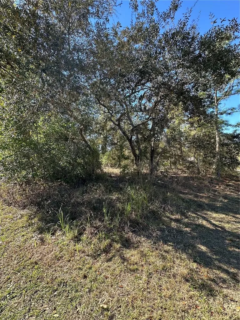 7 Sweetbay Court Homosassa FL 34446