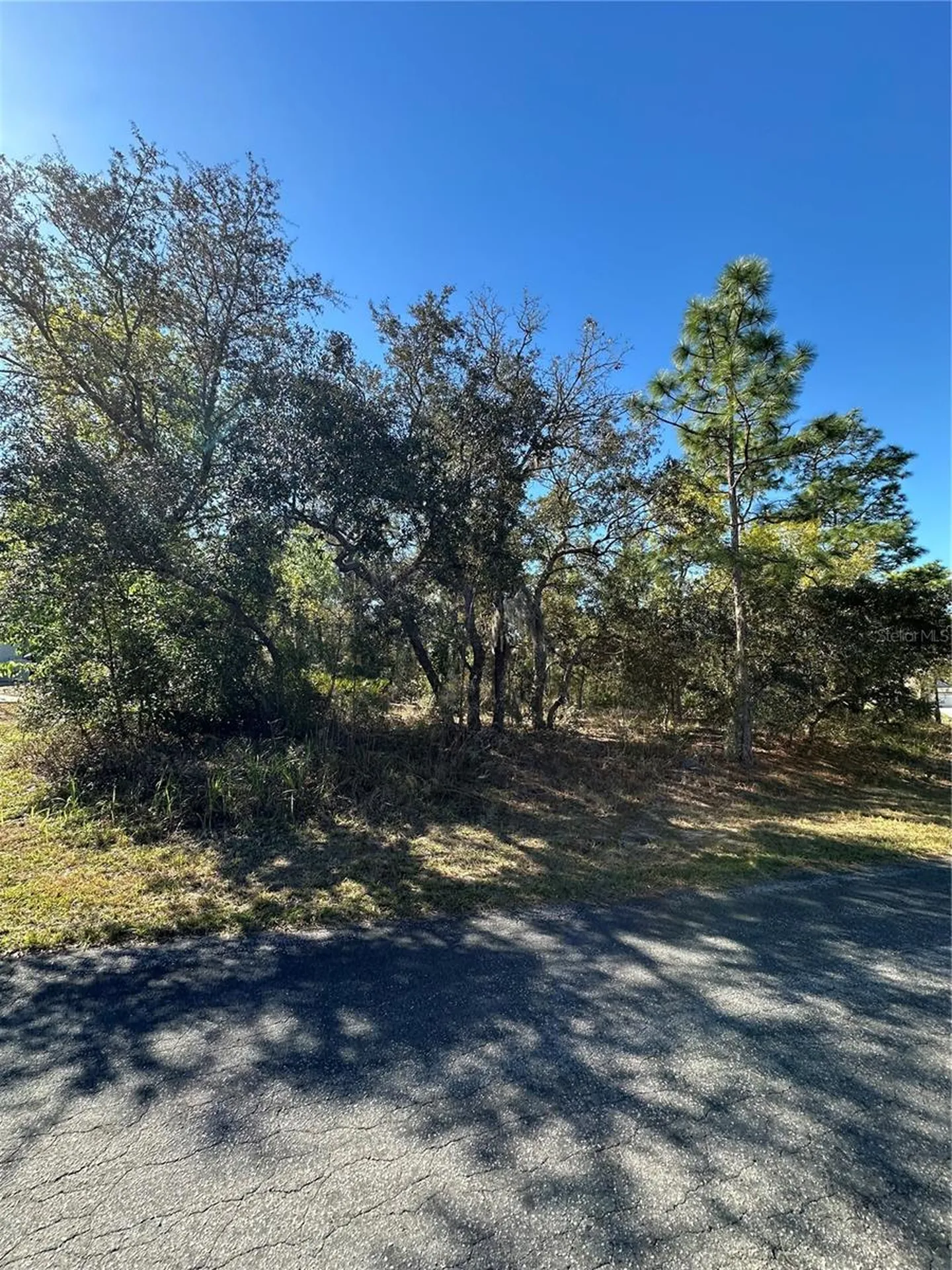 7 Sweetbay Court Homosassa FL 34446