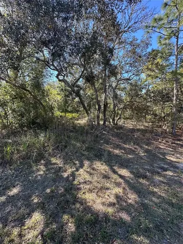7 Sweetbay Court Homosassa FL 34446