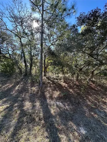 7 Sweetbay Court Homosassa FL 34446