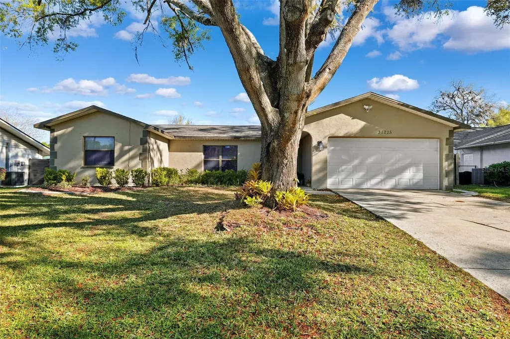 31225 Stoney Brook Drive Brooksville FL 34602