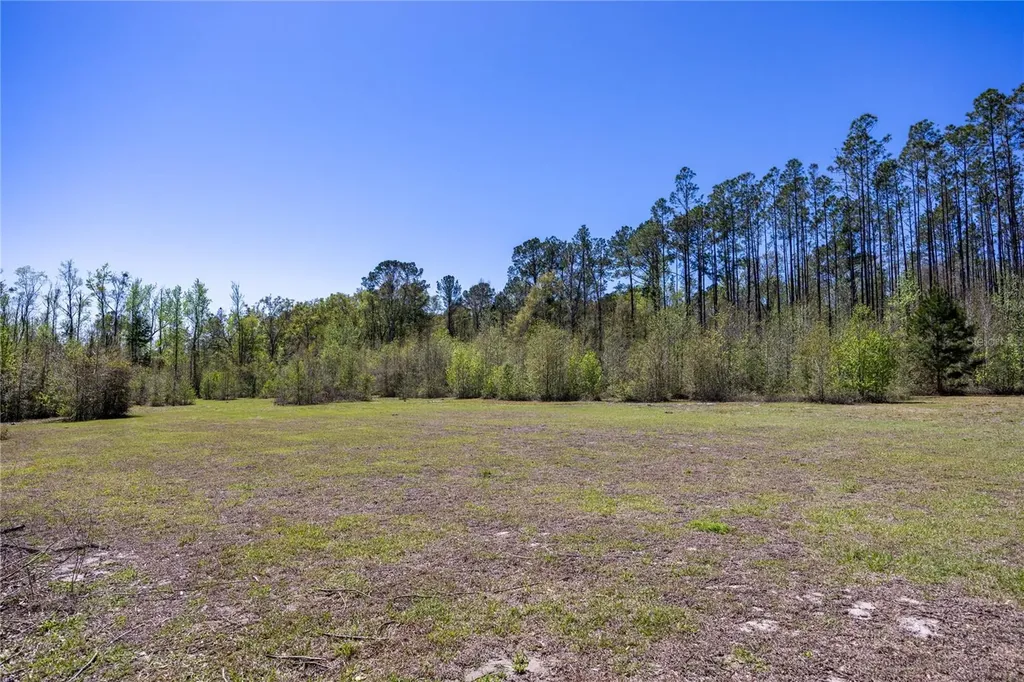6917 NW 254th Avenue Alachua FL 32615