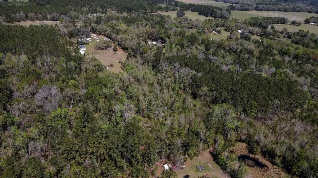 6917 NW 254th Avenue Alachua FL 32615