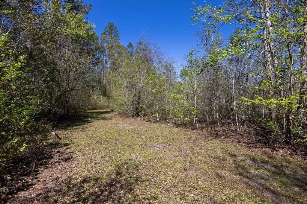 6917 NW 254th Avenue Alachua FL 32615