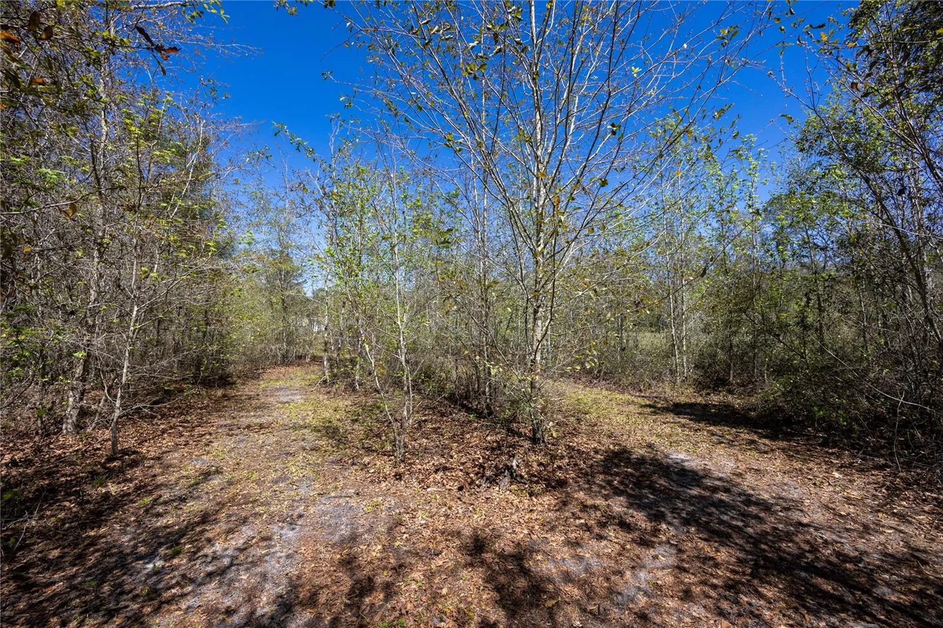 6917 NW 254th Avenue Alachua FL 32615