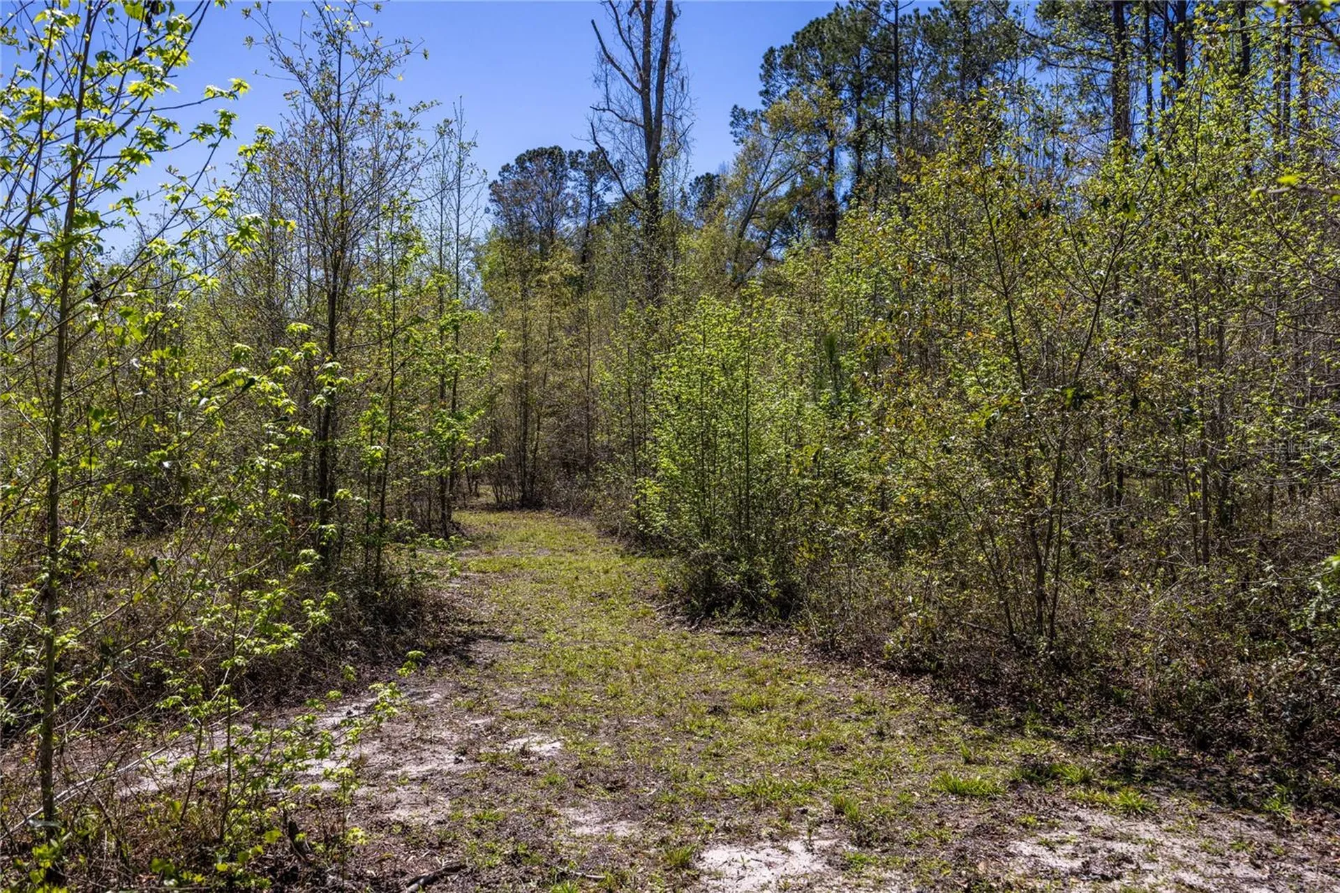 6917 NW 254th Avenue Alachua FL 32615