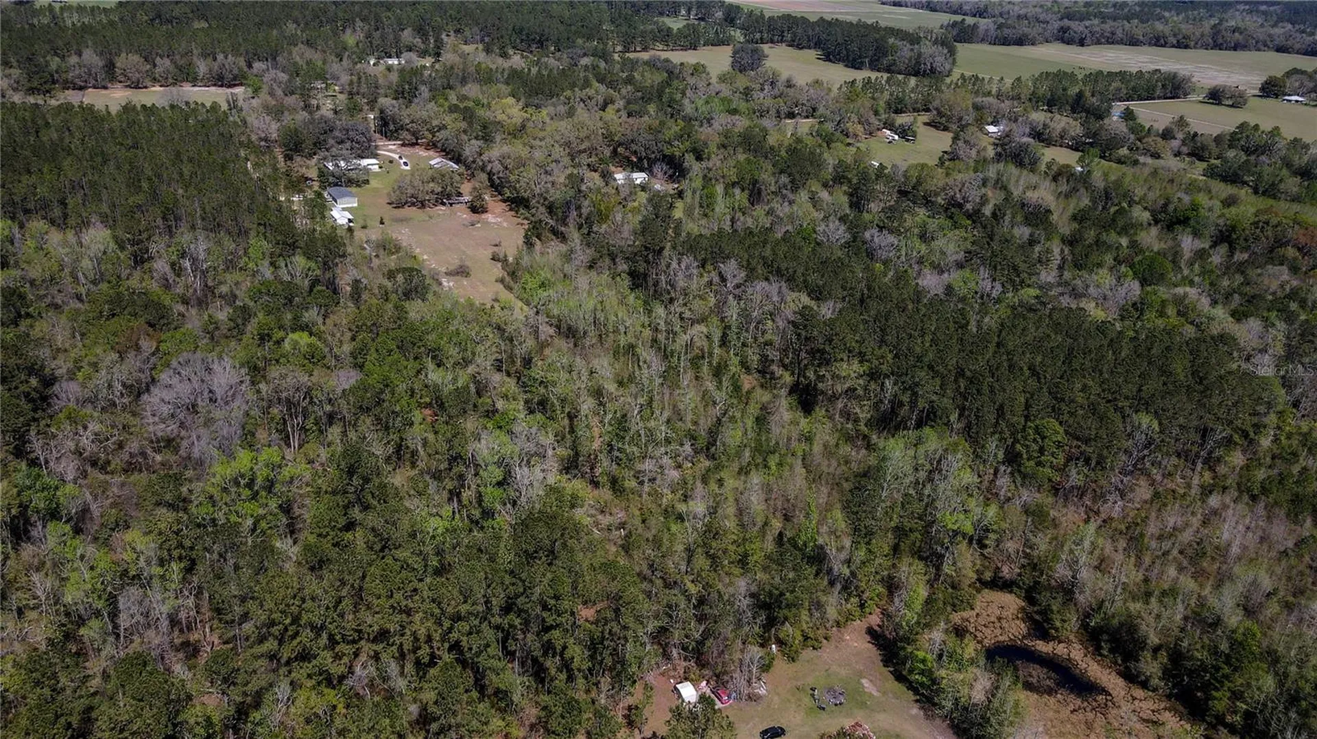 6917 NW 254th Avenue Alachua FL 32615