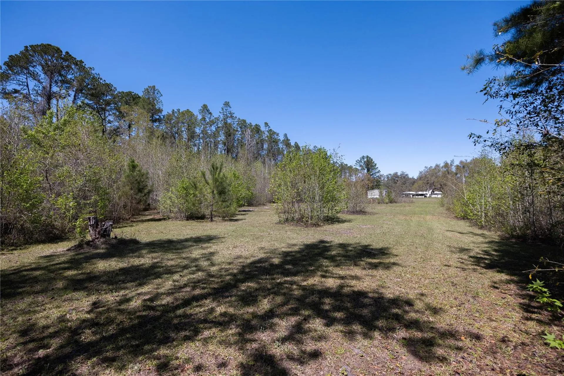 6917 NW 254th Avenue Alachua FL 32615