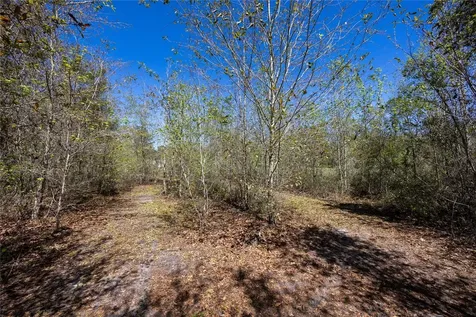 6917 NW 254th Avenue Alachua FL 32615