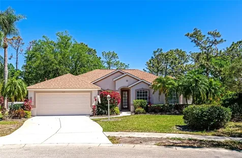 11419 Pine Lilly Place Lakewood Ranch FL 34202