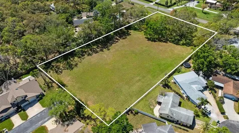 854 Riviere Road Palm Harbor FL 34683