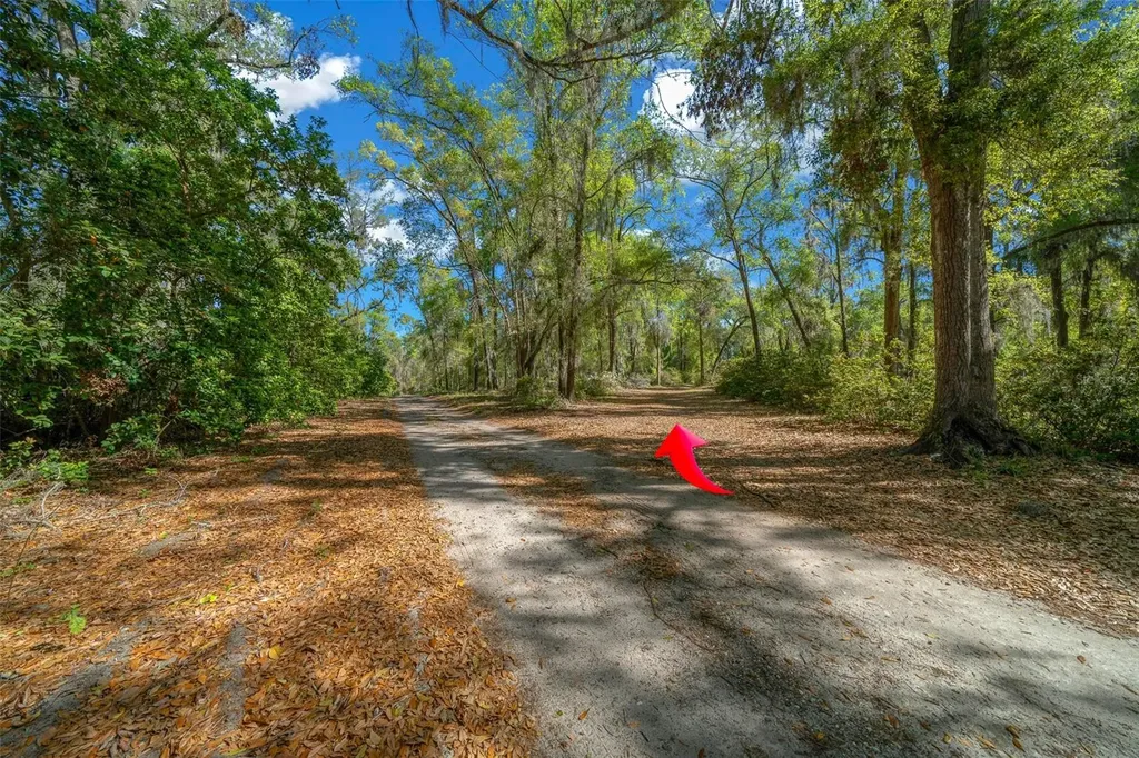39636 Carolina Avenue Lady Lake FL 32159