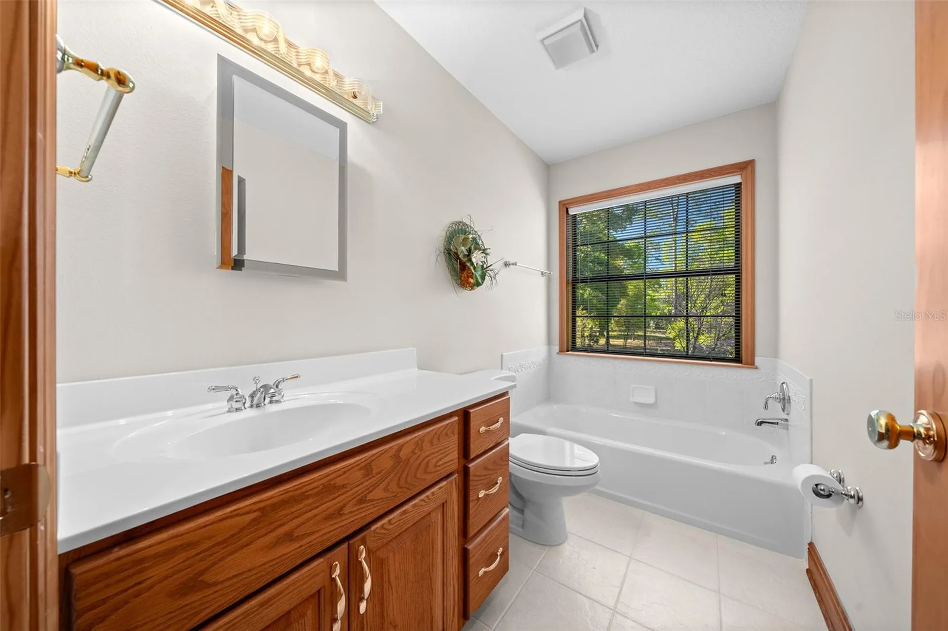 39636 Carolina Avenue Lady Lake FL 32159