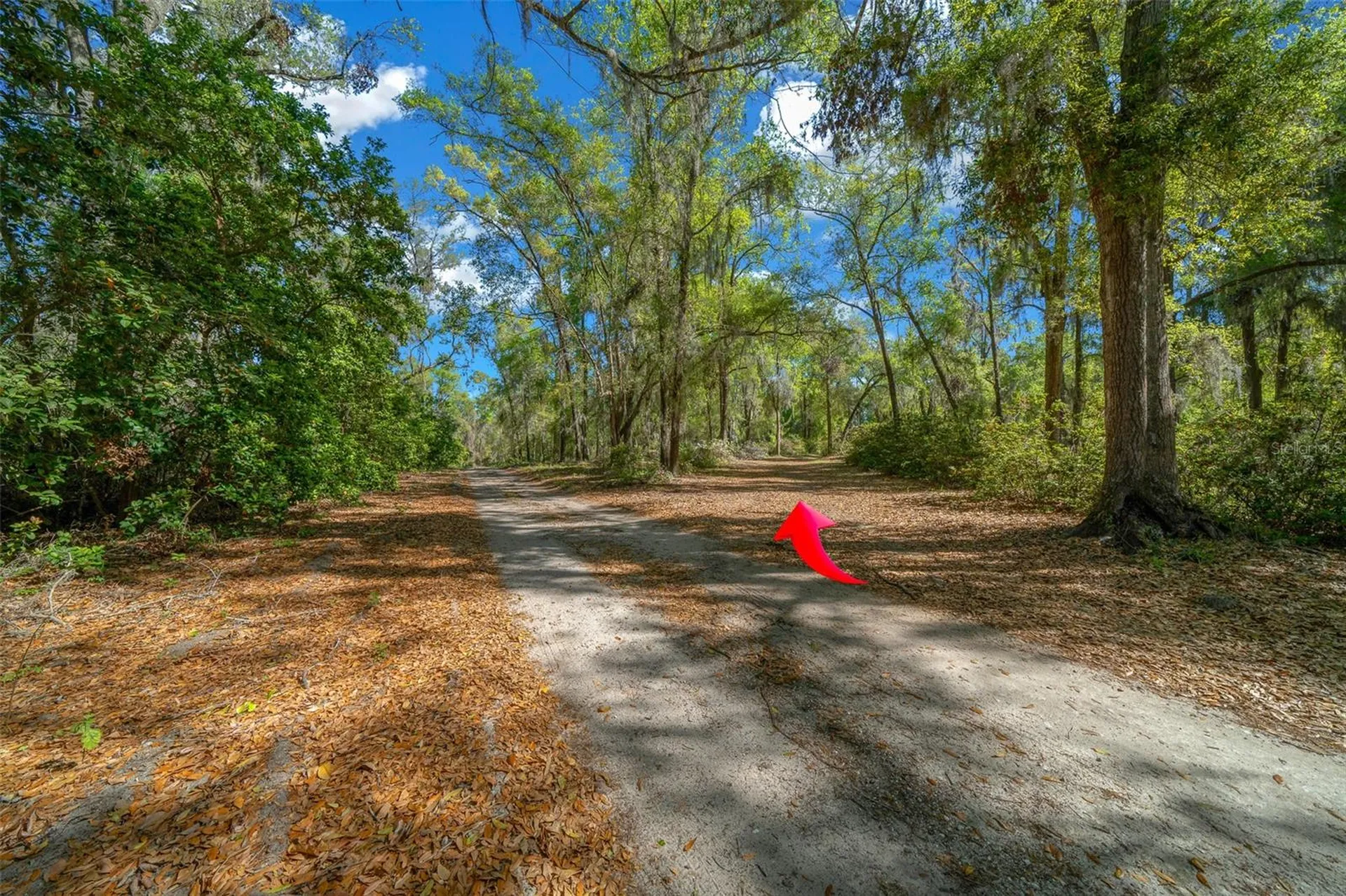 39636 Carolina Avenue Lady Lake FL 32159