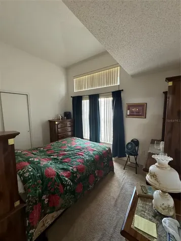 105 Cattail Court Kissimmee FL 34743