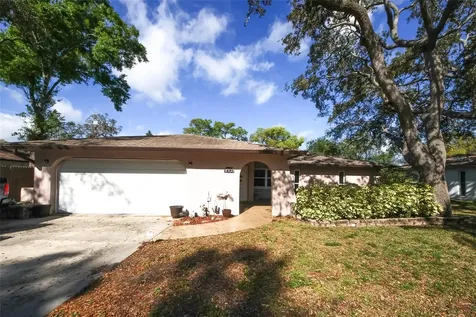 8703 Elm Leaf Court Port Richey FL 34668