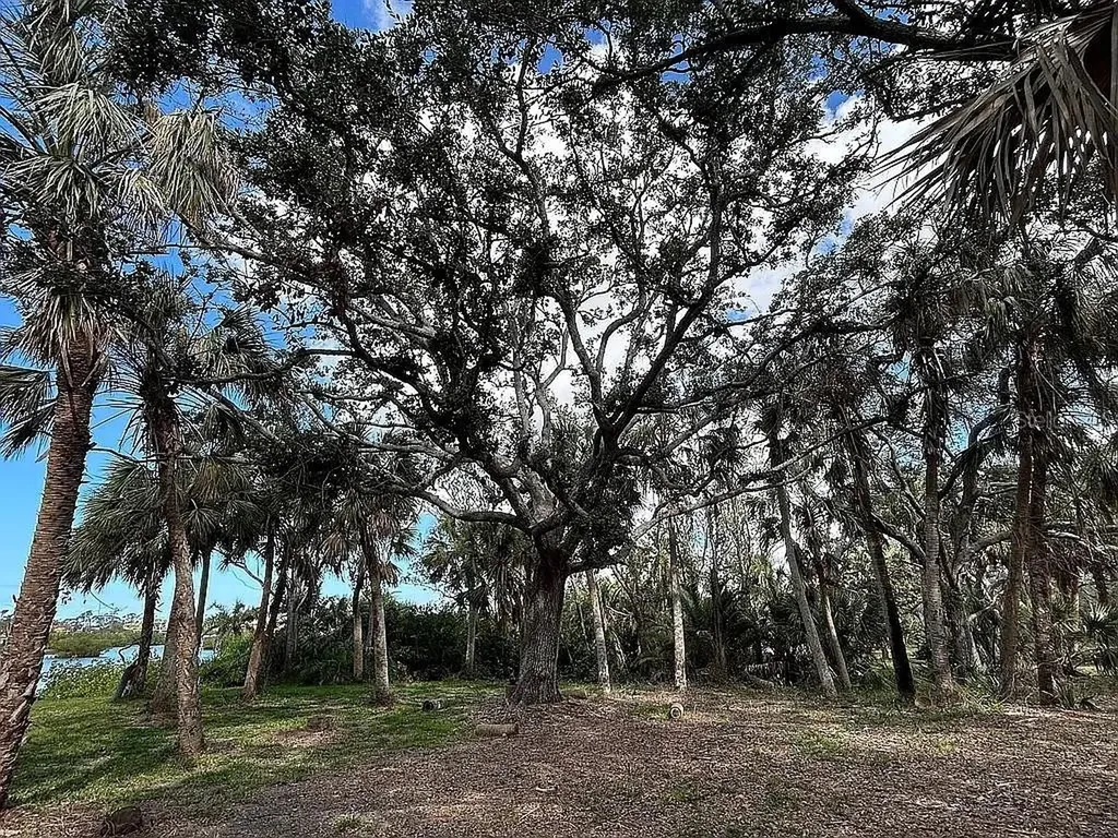 Pocono Trail E Nokomis FL 34275