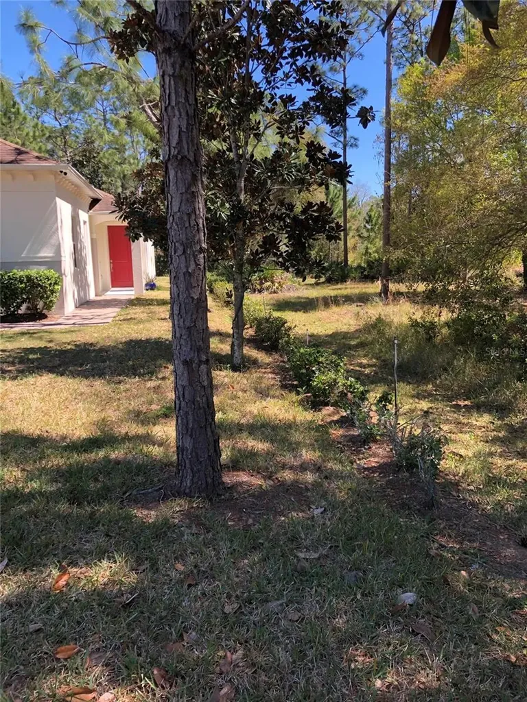 2301 Avellino Avenue St Cloud FL 34771
