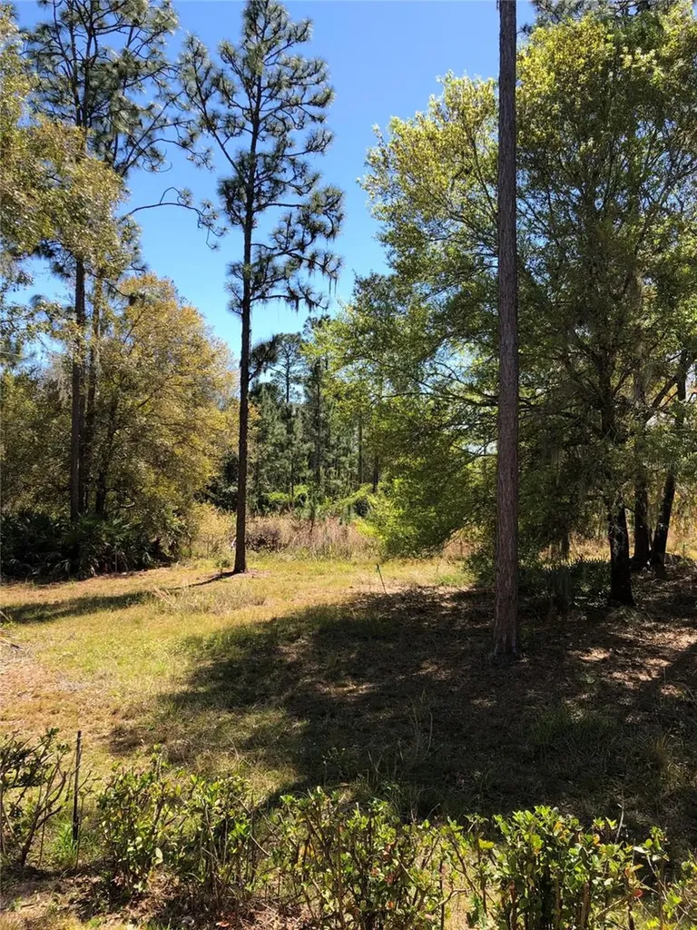 2301 Avellino Avenue St Cloud FL 34771