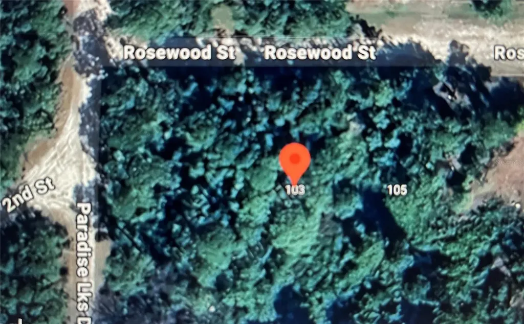 103 Rosewood Street Georgetown FL 32139