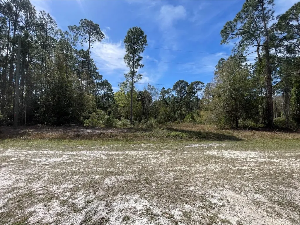103 Rosewood Street Georgetown FL 32139