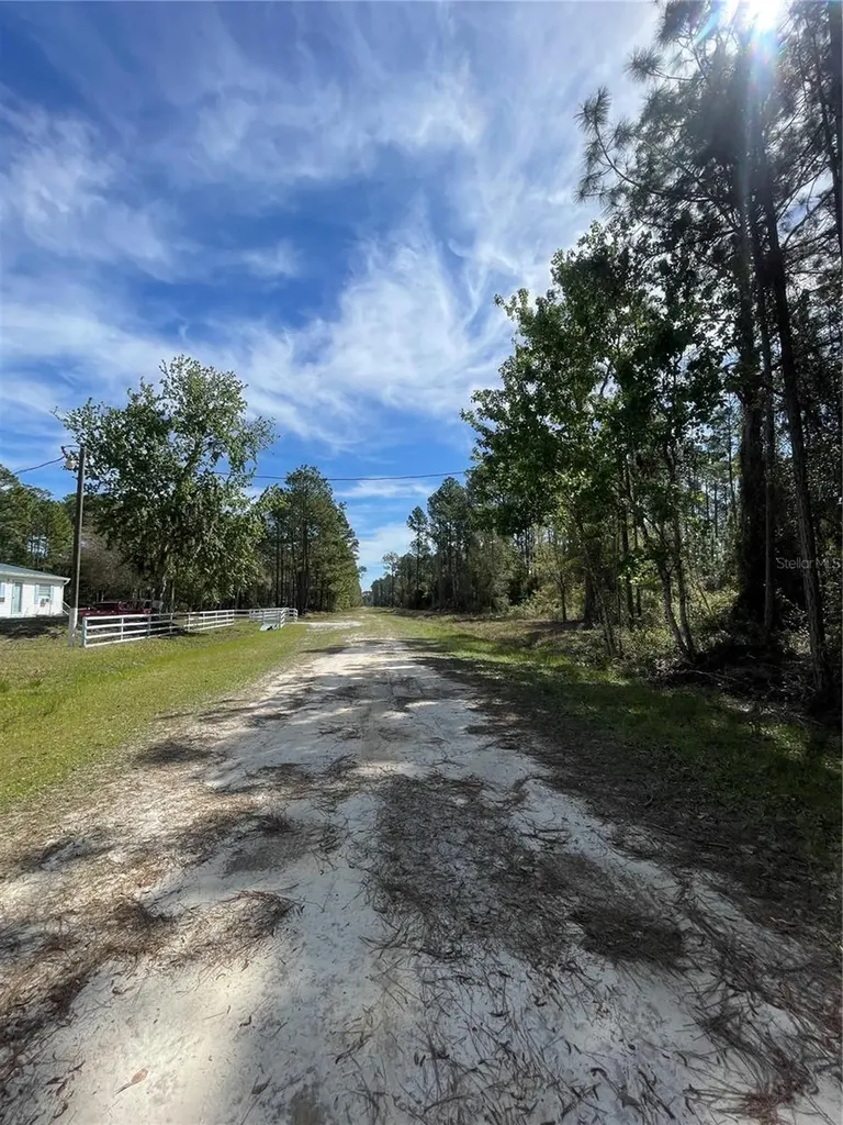 103 Rosewood Street Georgetown FL 32139
