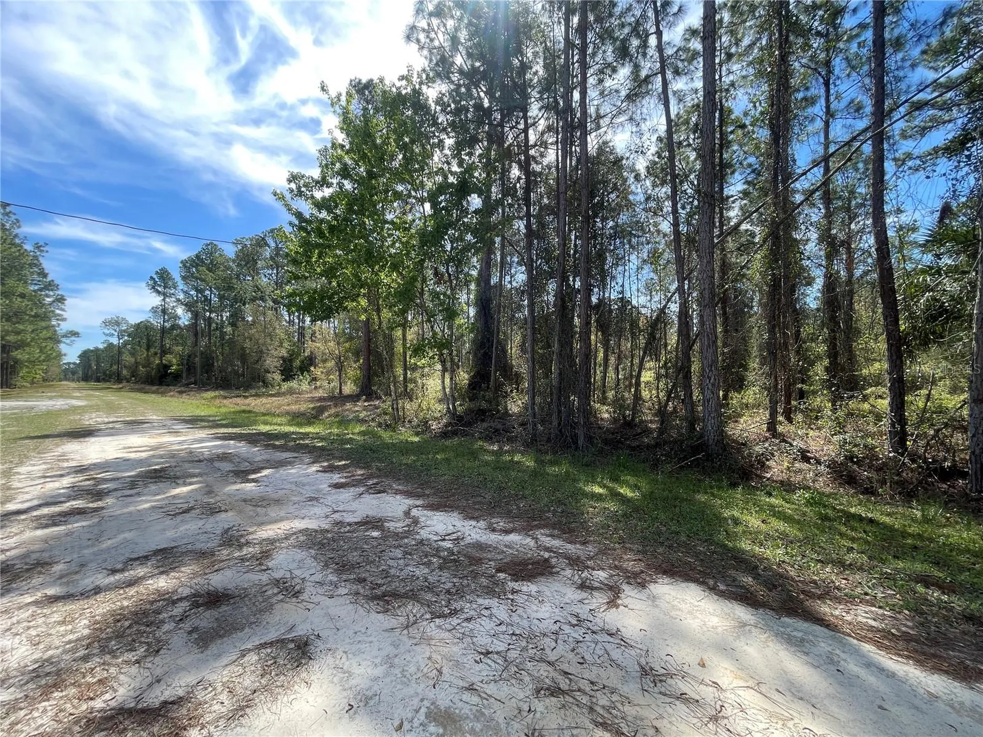 103 Rosewood Street Georgetown FL 32139