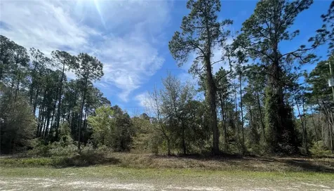103 Rosewood Street Georgetown FL 32139