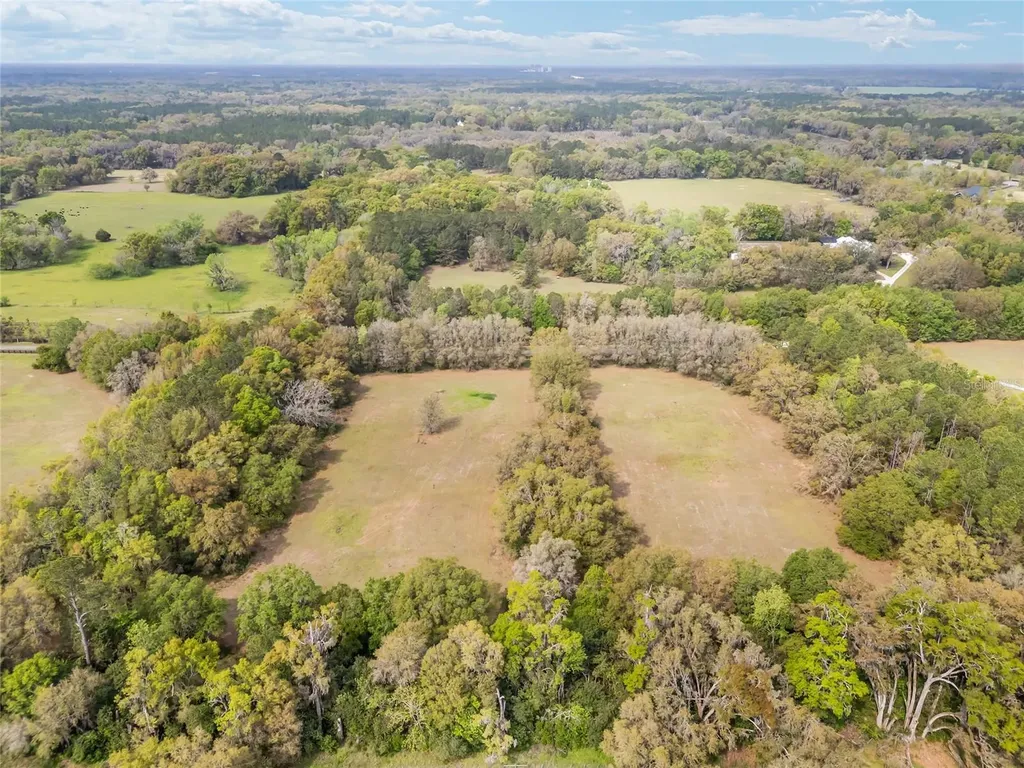 3595 NW 156th Drive Newberry FL 32669