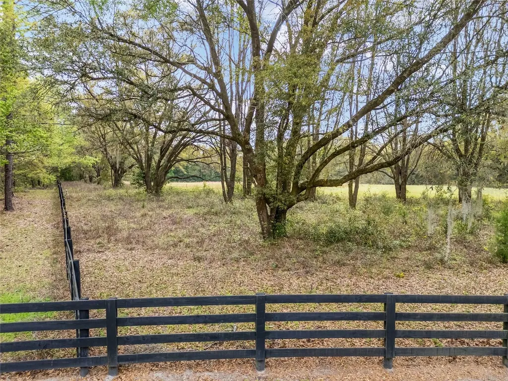 3595 NW 156th Drive Newberry FL 32669