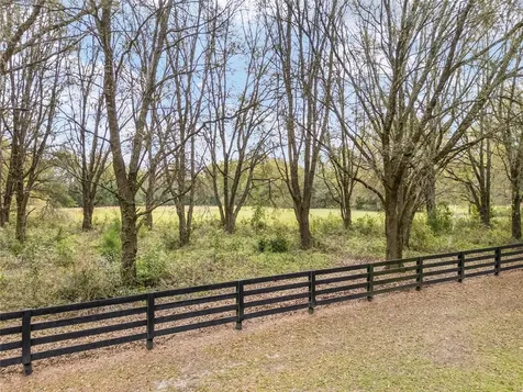 3595 NW 156th Drive Newberry FL 32669