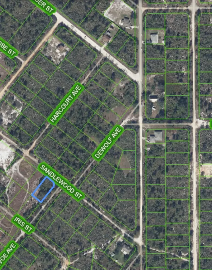1214 Sandlewood Street Lake Placid FL 33852