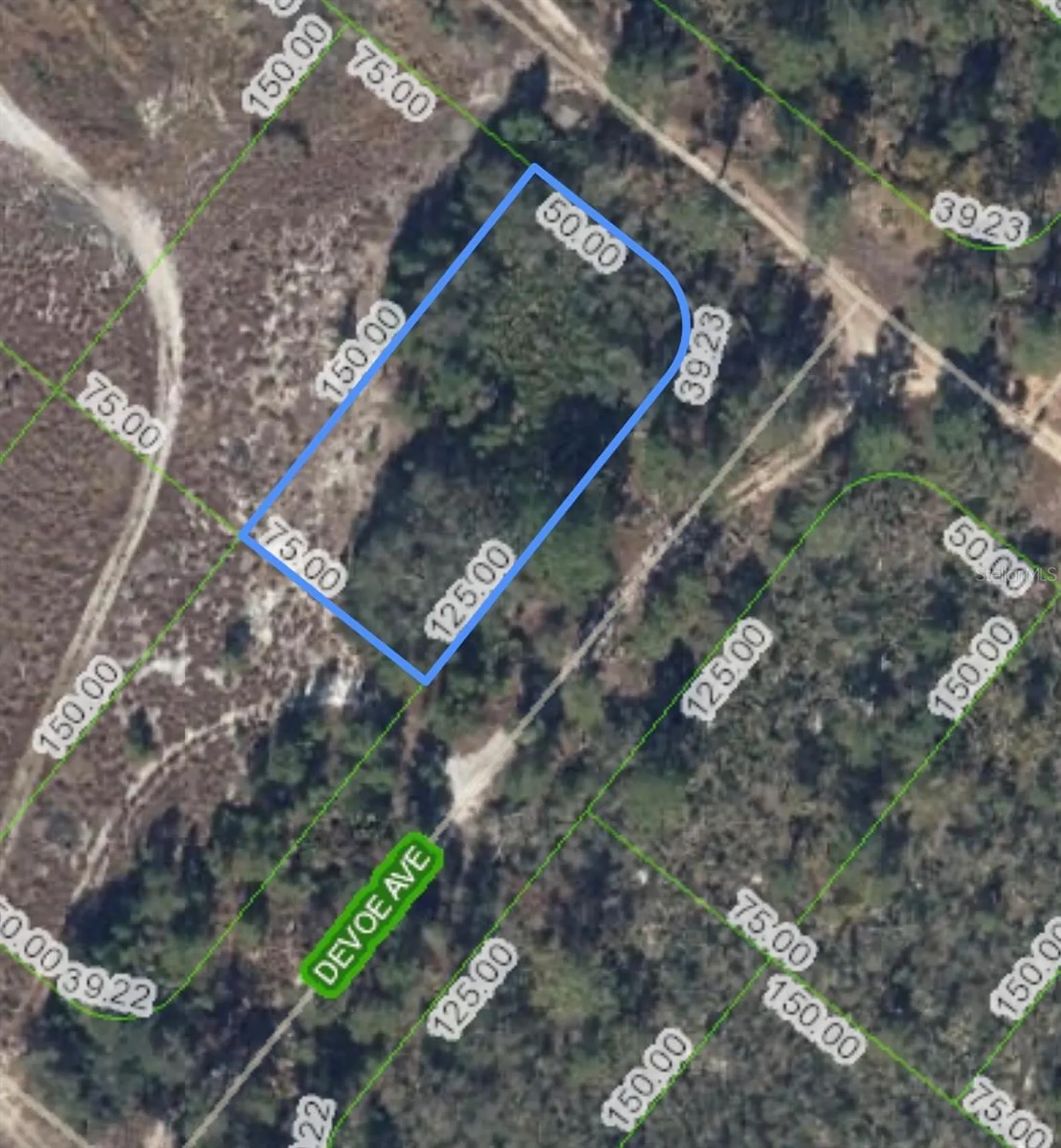 1214 Sandlewood Street Lake Placid FL 33852