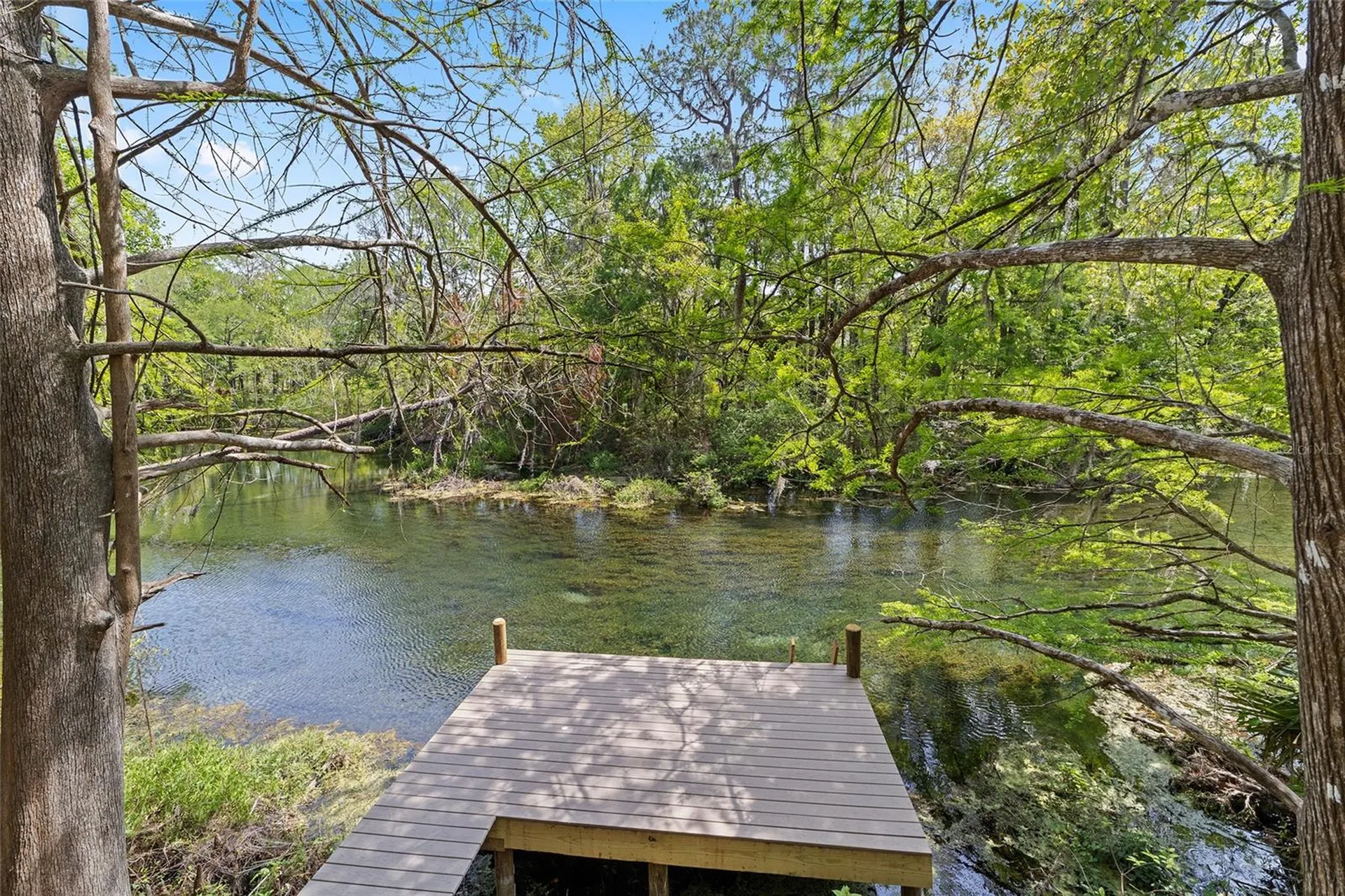 10894 SW 185th Terrace Dunnellon FL 34432