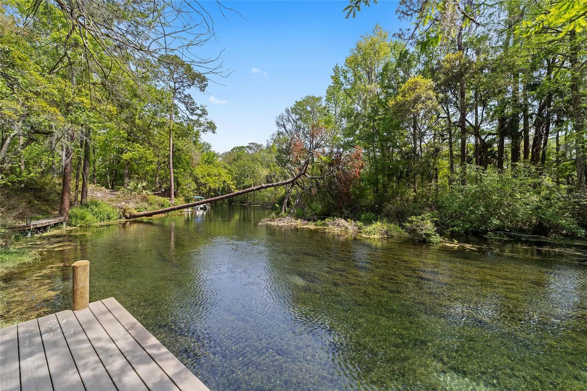 10894 SW 185th Terrace Dunnellon FL 34432